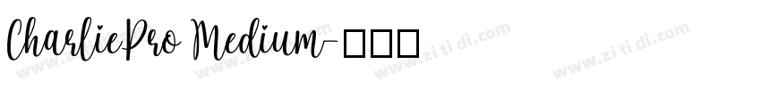 CharliePro Medium字体转换